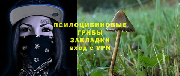 метадон Арсеньев