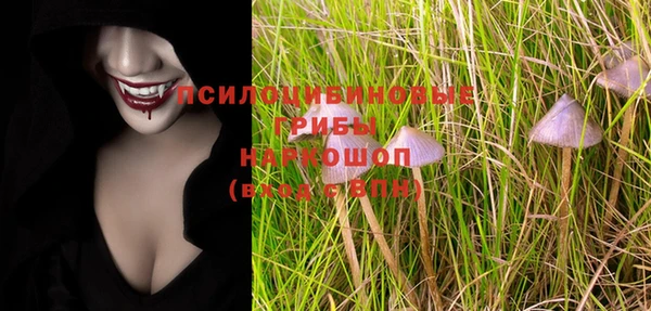 метадон Арсеньев