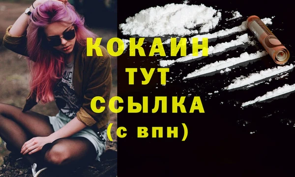 амф Гусь-Хрустальный