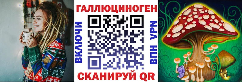 Псилоцибиновые грибы Psilocybine cubensis Тогучин