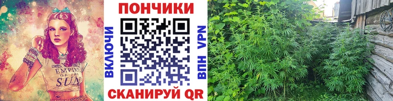 Бошки марихуана тримм Тогучин